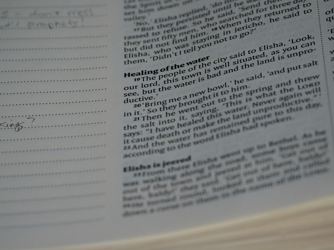 red herring clue in book